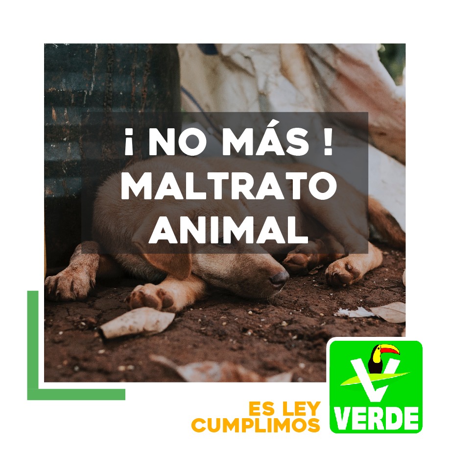 PARTIDO VERDE APRUEBA LEYES DE PROTECCIÓN ANIMAL PARA GARANTIZAR LA SEGURIDAD DE NUESTRAS MASCOTAS