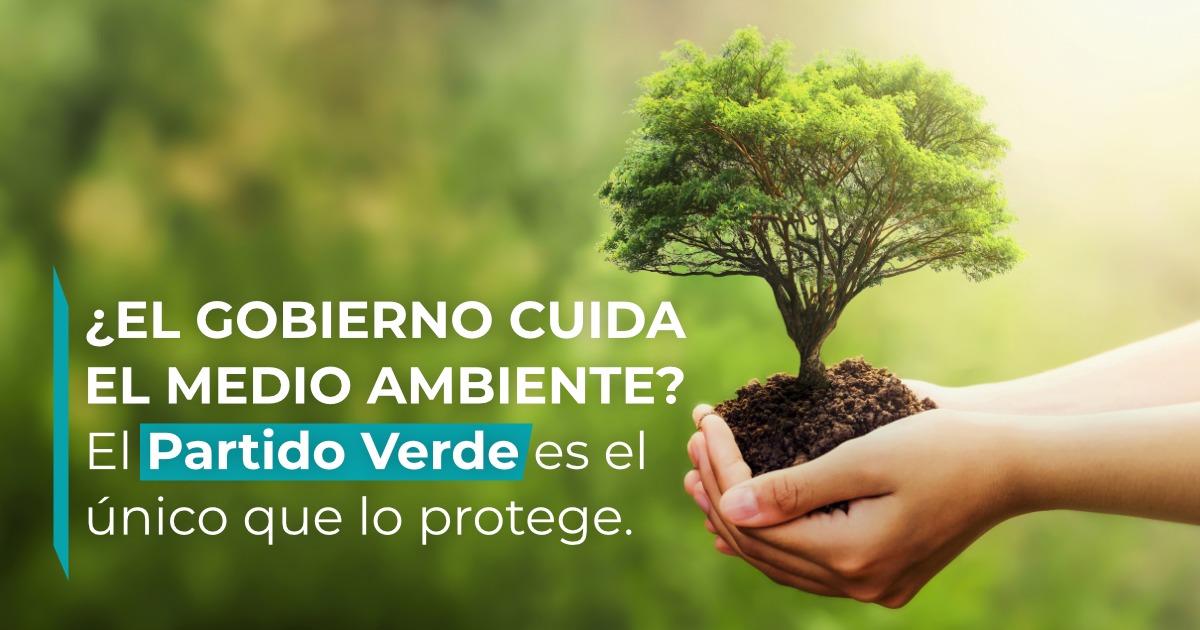 Con leyes que protegen al medio ambiente, el Verde Ecologista es el único partido que atiende la problemática ambiental.